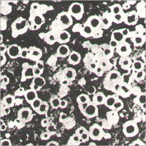 Spheroidal Graphite Cast Iron