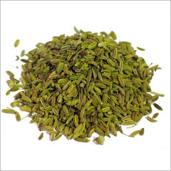Fennel