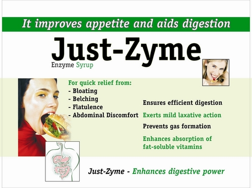 just-zyme