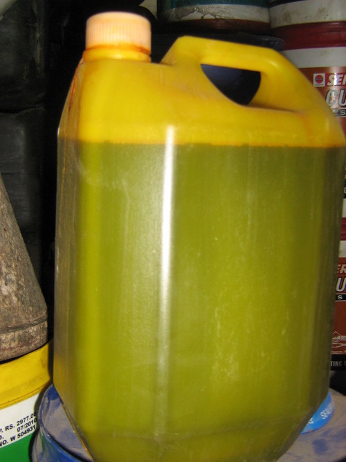 Golden Yellow Rust Oil