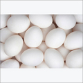 White Eggs