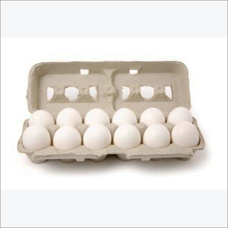 White Chicken Eggs
