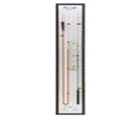 Barometer Tube
