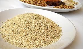 brinjal seeds
