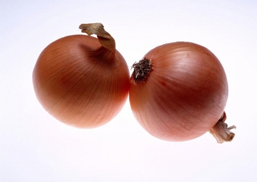 Fresh Onion