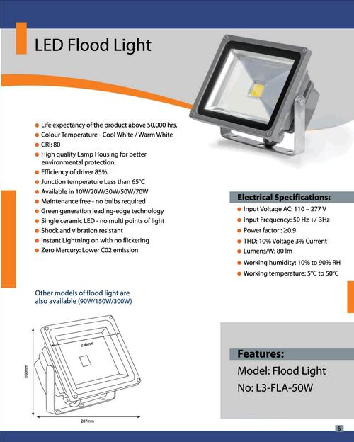 LED Flood Light