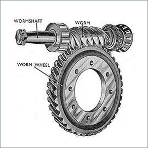 Worm Wheel