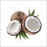 Coconut