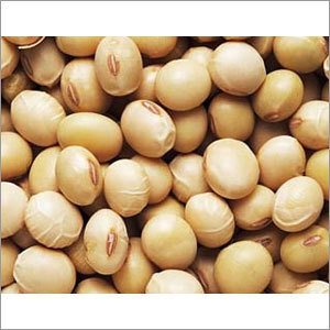 Soya Beans