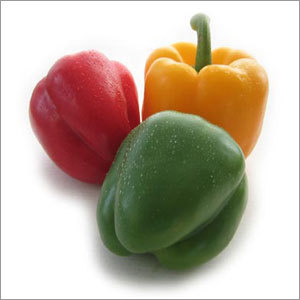Capcicum