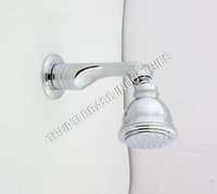 Raja Thakur Shower