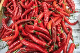 Indian Red Chilli