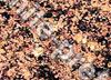 Natural Granite