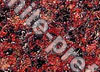 Red Granite Stone
