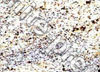 White Granite Stone