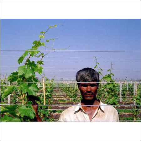 Agriculture