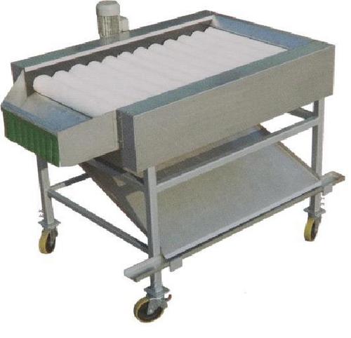 Fruits Washing & Drying Machinery