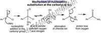 BON. Acid Amide