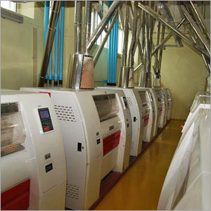 Wheat Bran Processing Factory