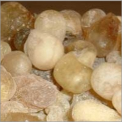 Gum Olibanum (Frankincense)