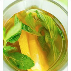 Holistic Health