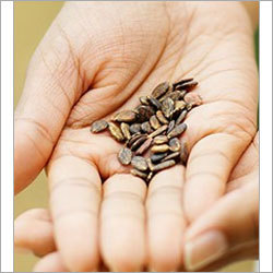 Short Treatment Packages