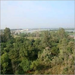 View Of Our Farm From The Top