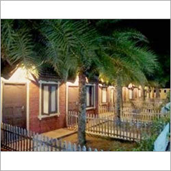 Night View Of Cottages