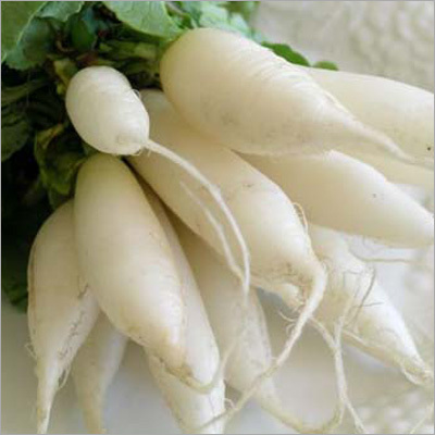 Nice White Radish