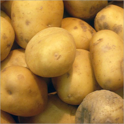 Potatoes Potatoes