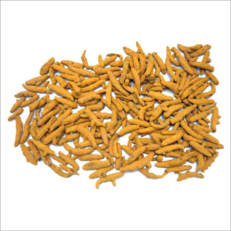 Turmeric finger