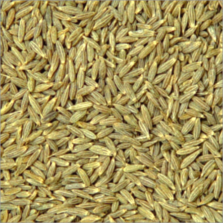 CuminSeeds