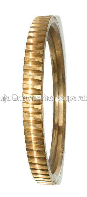 Worm Wheel Gear