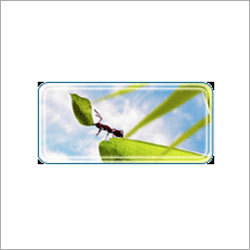 Training Services By TACIT INDIA MANAGEMENT SERVICES (P) LTD.