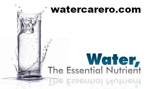 Jodhpur Rajasthan India Jodhpur Rajasthan India Jodhpur Rajasthan India Jodhpur Rajasthan India