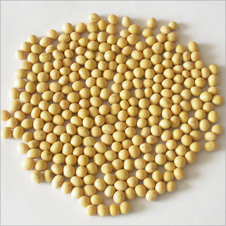 Soya