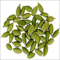 Cardamom