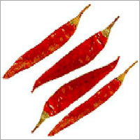 Red Chillies
