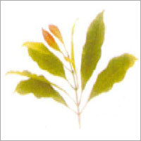 Cloves