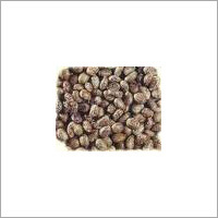Castor Seeds