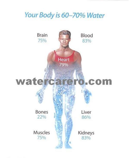 Water care Alkaline water