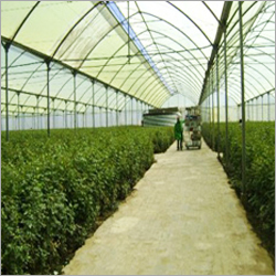 Greenhouse Plastic Film