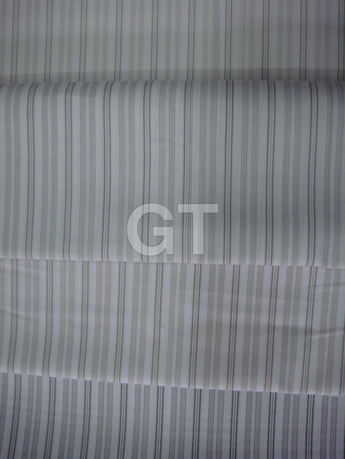 Striped Shirting on white background