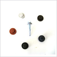 Metal Screw