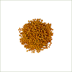 Fenugreek