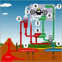 Schematic Flow Chart