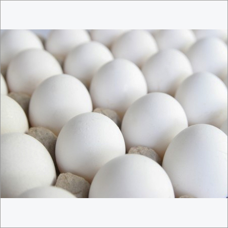 Indian White Eggs