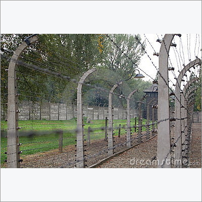 Electric Fencing