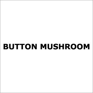 Button Mushroom