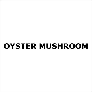 Oyster Mushroom